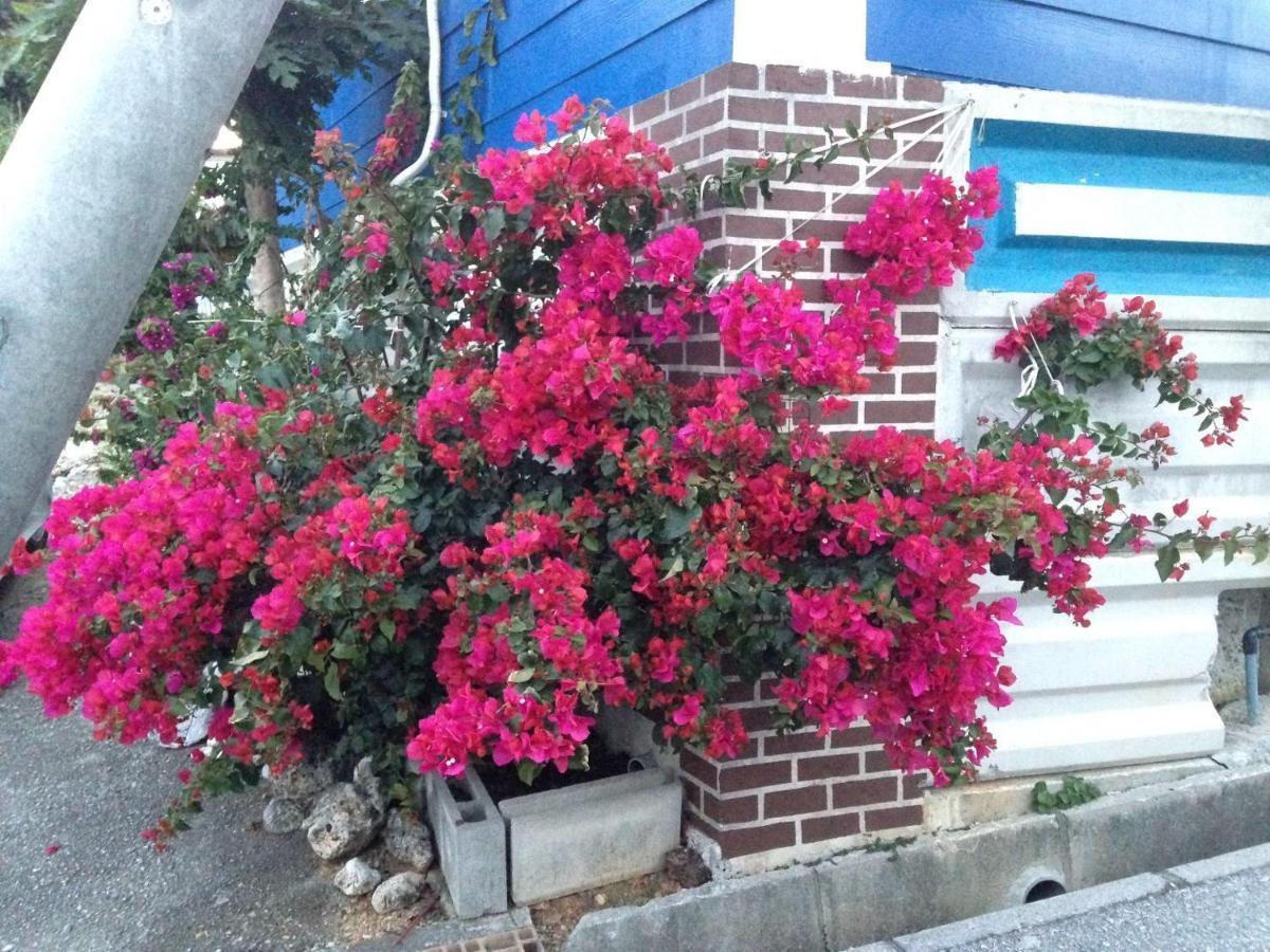 Sesoko Terrace 2 Minutes To The Beach Ocean View 모토부 외부 사진